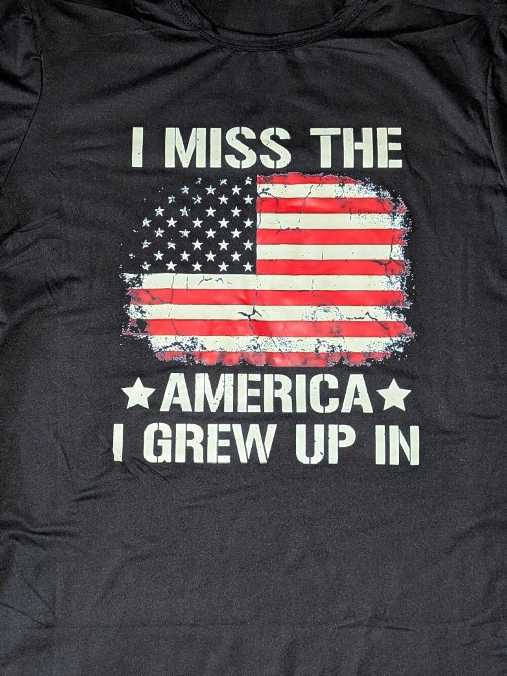 Graphic t-shirt, America I Grew Up In. New!